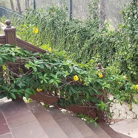 Otel Madrigueras Golf & - Adults Only Playa de las Américas