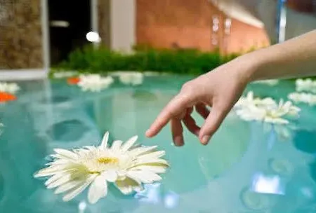 Otel Madrigueras Golf & - Adults Only Playa de las Américas