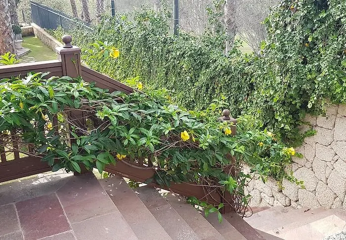 מלון Madrigueras Golf & - Adults Only פלאייה דה לאס אמריקס